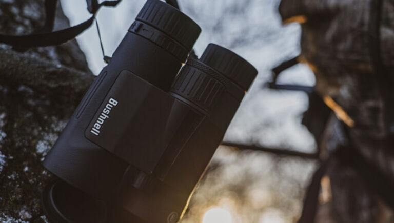 The Ultimate Glassing Setup For Hunters Article Binoculars hanging in tree with sunrise in background