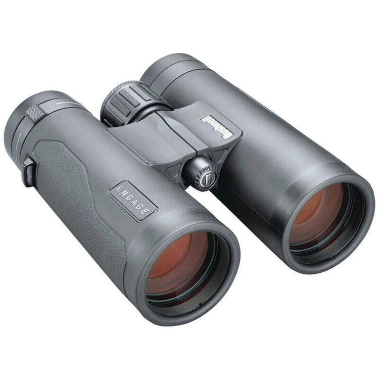 Engage EDX 8x42 Binoculars Engage EDX 8x42 Binoculars on white background
