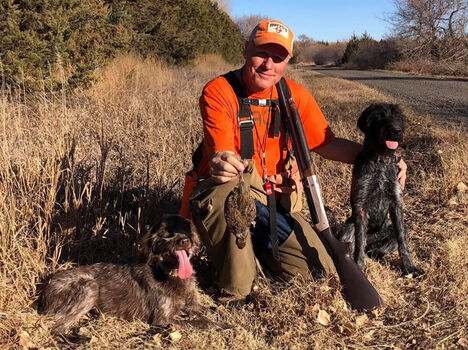 Hunter in a field with hunting dogs Hunter in a field with hunting dogs