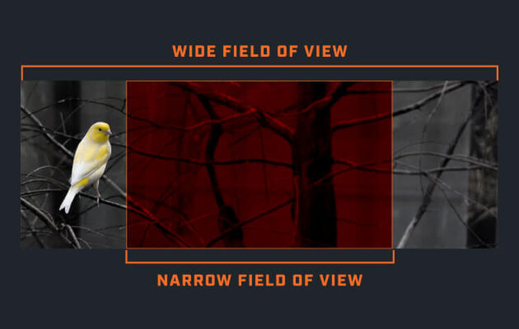 Get The Best Binoculars With The Best Field Of View Graphic demonstrating Bushnell Binoculars wide field of view
