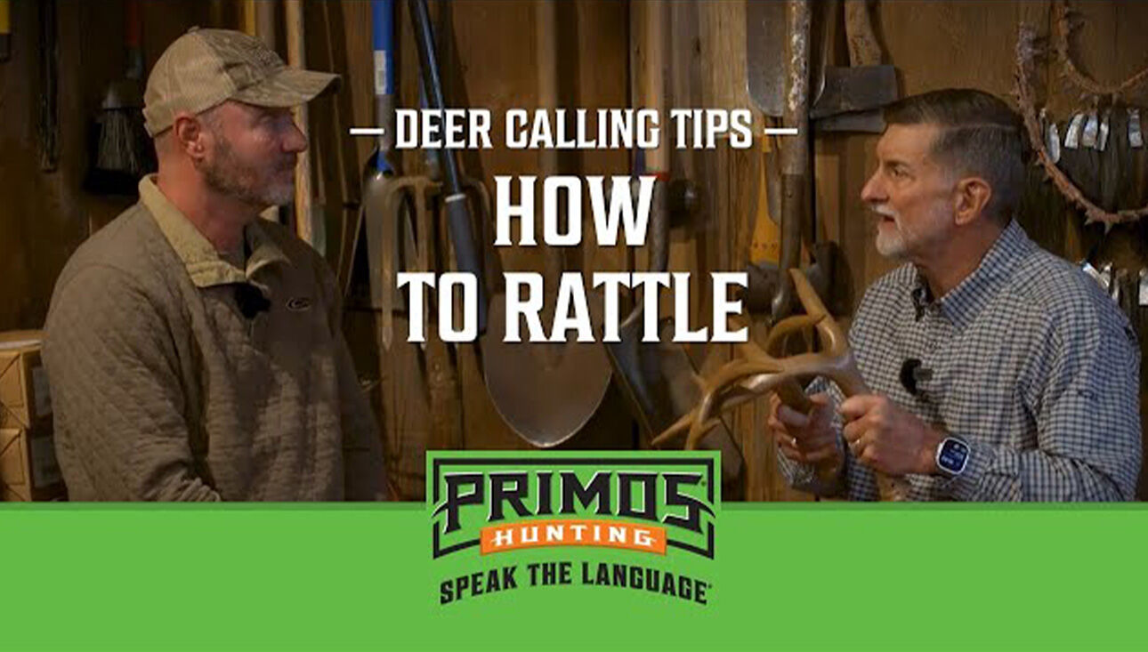 Primos Videos How to Rattle